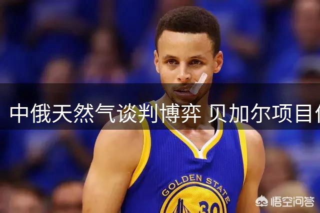 中俄天然气谈判博弈 贝加尔项目价格拉锯战持续