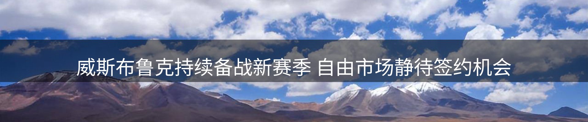 新闻动态