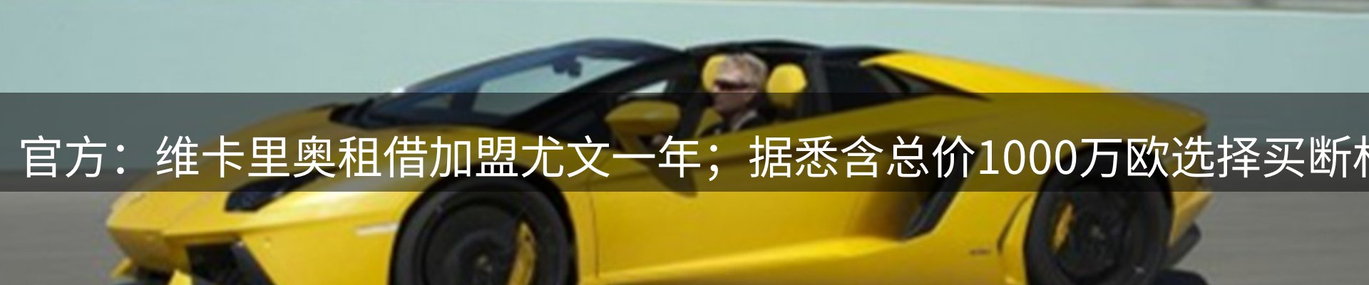 新闻动态