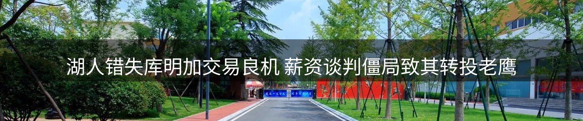 新闻动态
