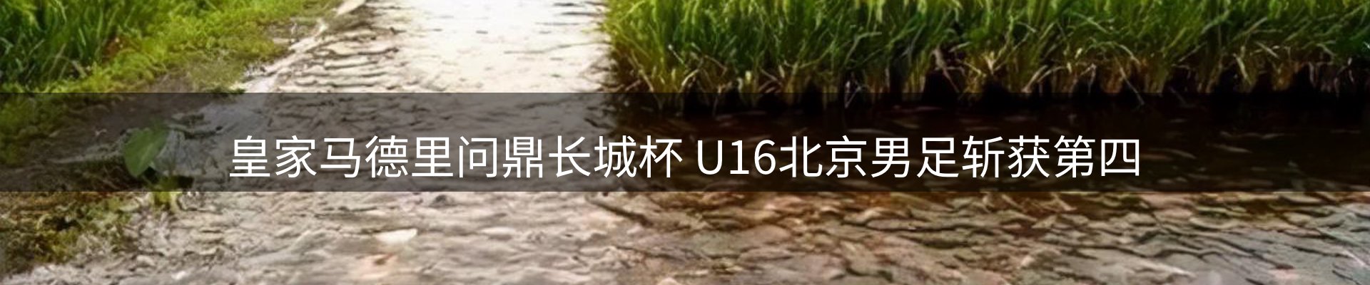 动态播报