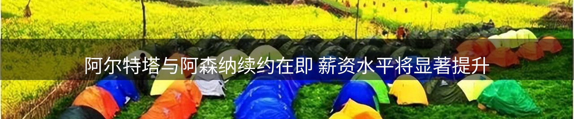 新闻动态
