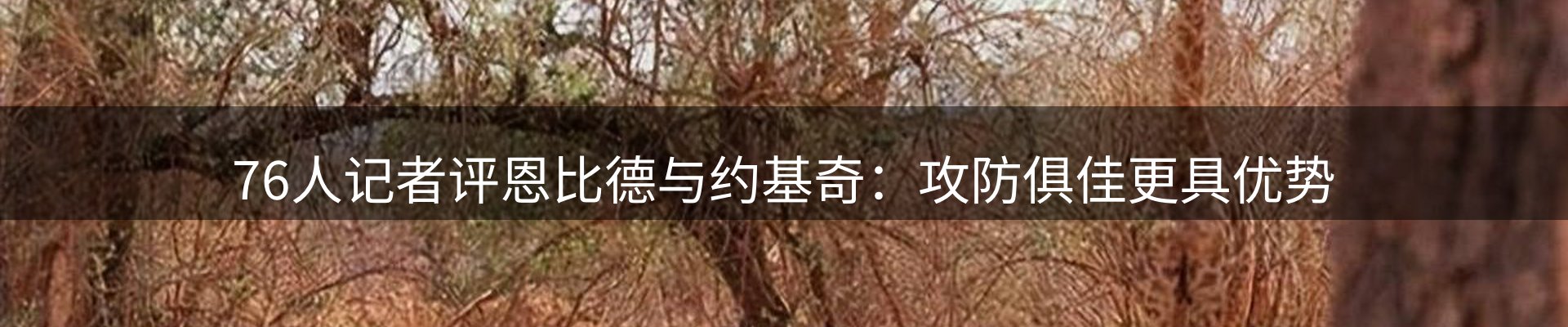 动态播报