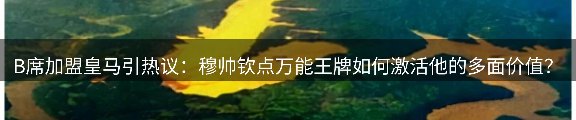 新闻动态