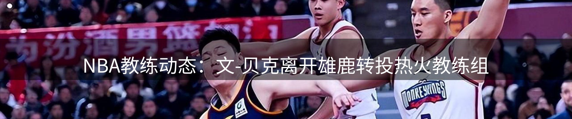 新闻动态